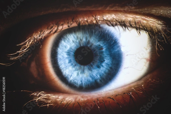 Obraz An enlarged image of eye with a blue iris, eyelashes and sclera. the shot is made by a slit lamp with a built-in camera