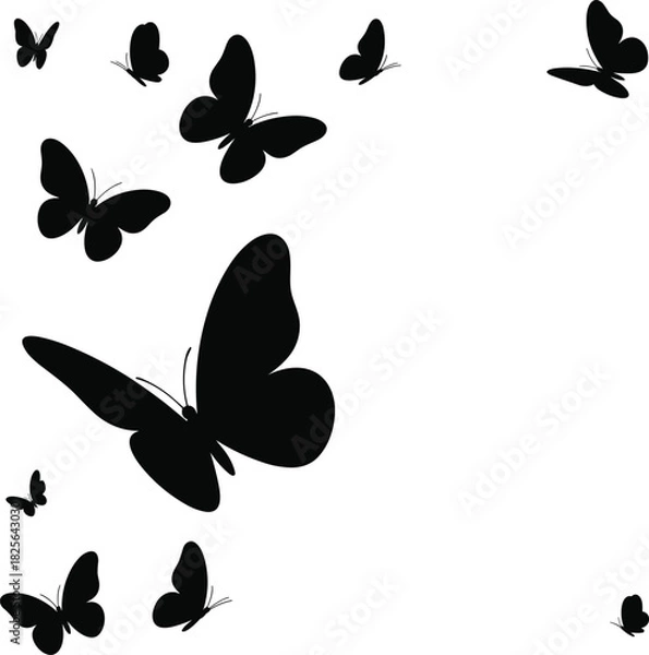 Obraz Flock of black butterflies flying silhouette, vector illustration isolated on white background, concept of nature, spring, and freedom