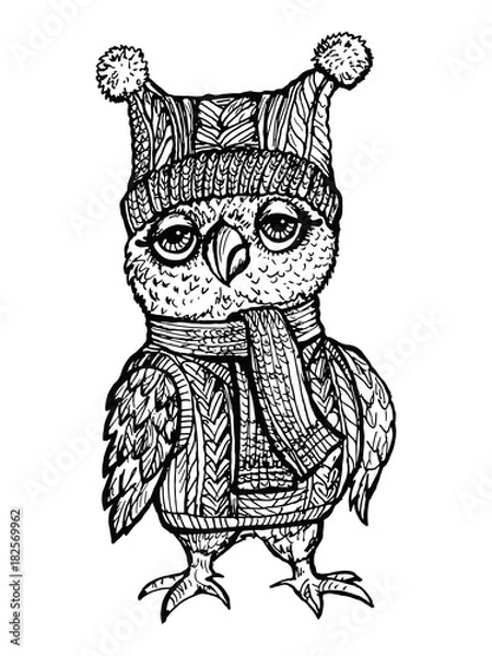 Obraz Vector image Owl in a knitted hat