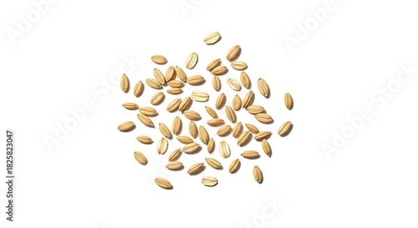 Obraz Scattered dry oat grains, healthy raw whole food ingredient, top view on white.