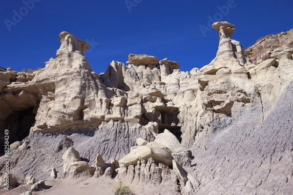 Obraz eroded rocks in petrified forest NP