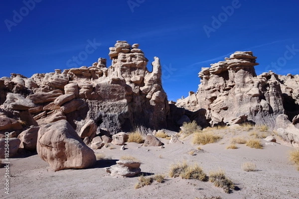 Obraz eroded rocks in petrified forest NP
