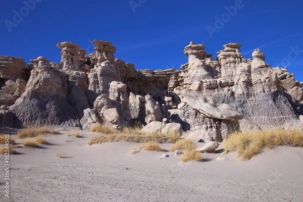 Obraz eroded rocks in petrified forest NP