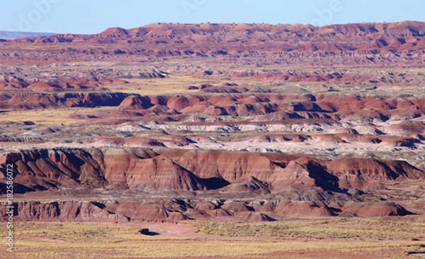 Obraz painted desert in petrified forest NP
