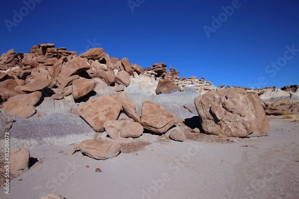 Obraz eroded rocks in petrified forest NP