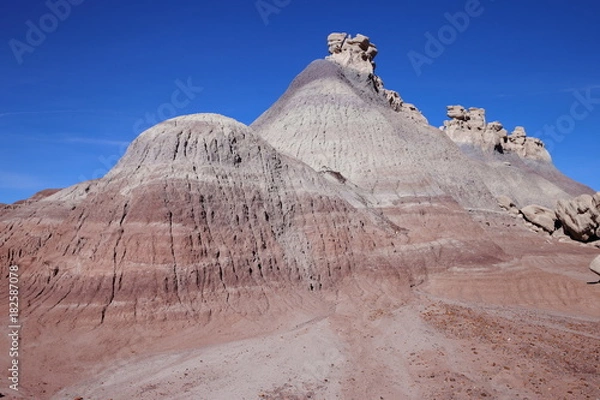Obraz eroded rocks in petrified forest NP