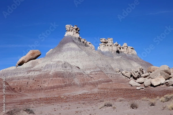 Obraz eroded rocks in petrified forest NP