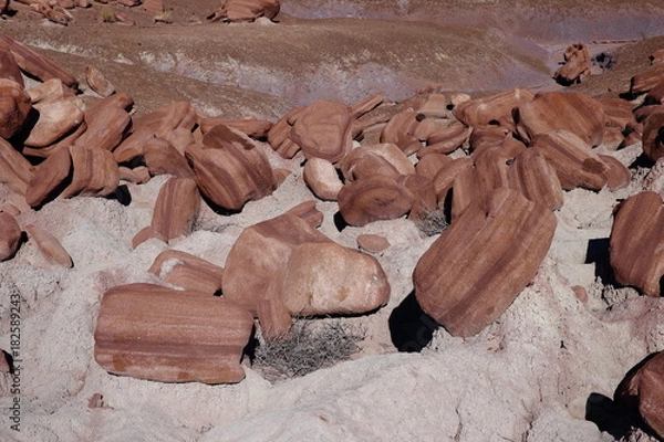 Obraz eroded rocks in petrified forest NP