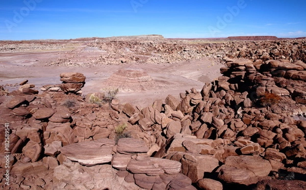 Obraz eroded rocks in petrified forest NP