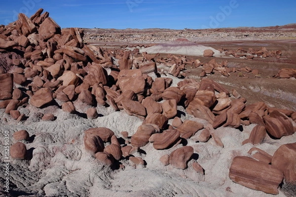 Obraz eroded rocks in petrified forest NP