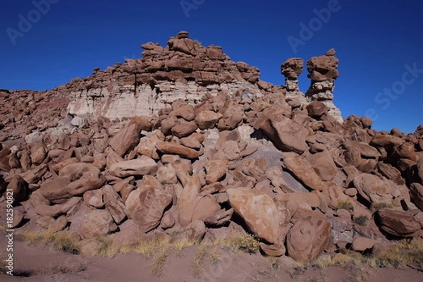 Obraz eroded rocks in petrified forest NP