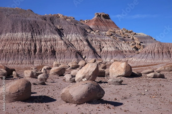 Obraz eroded rocks in petrified forest NP