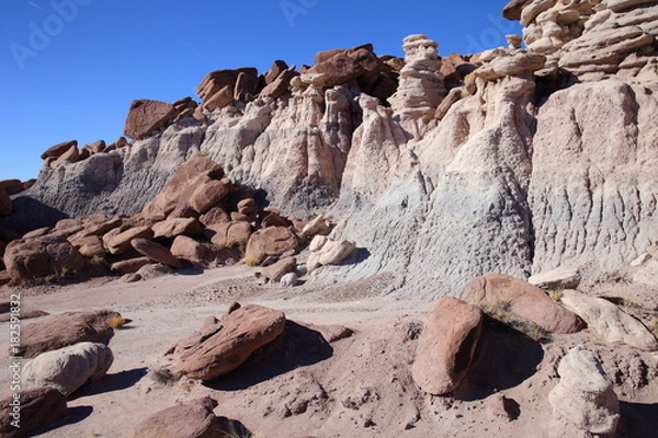 Obraz eroded rocks in petrified forest NP