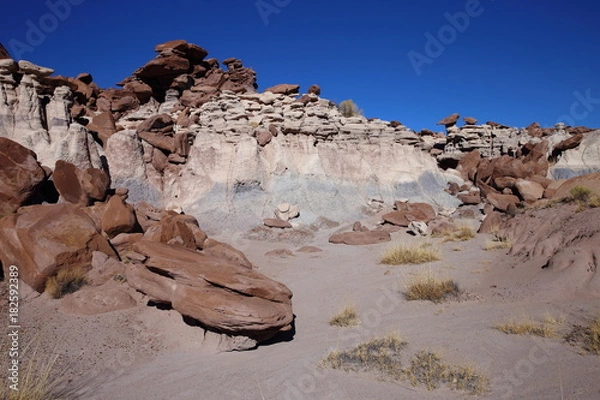 Obraz eroded rocks in petrified forest NP