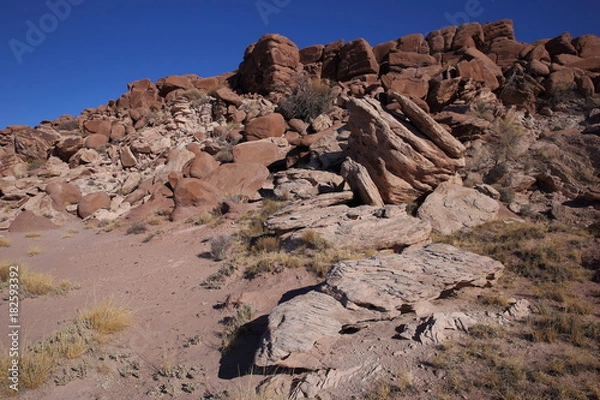 Obraz eroded rocks in petrified forest NP