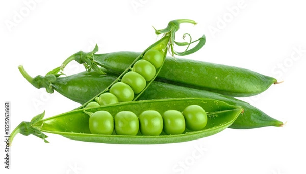 Fototapeta Close-up studio shot of several vibrant green pea pods, some open to reveal peas