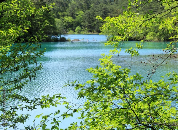 Obraz 裏磐梯の五色沼