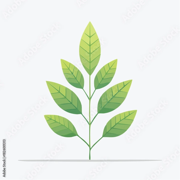 Fototapeta Delicate Green Leafy Branch with Graduated Tones Against a Soft White Background