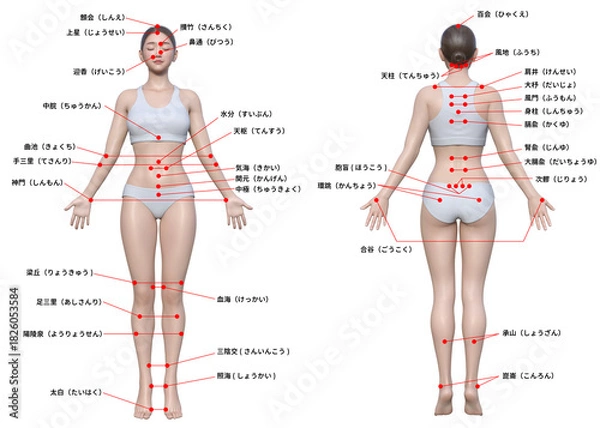 Obraz 身体のツボ 日本人3Dモデル女性の図解イラスト 全身正面 後ろ姿のセット
