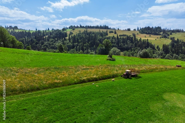 Fototapeta Tractor working in a field during haymaking in Podhale, Poland. Summer rural landscape featuring agricultural work, green hills, and traditional houses.