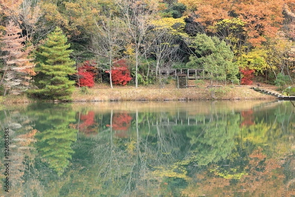 Obraz 散策路のある公園の秋の風景