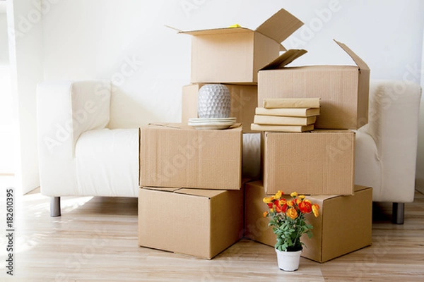 Obraz Cardboard boxes - moving to a new house