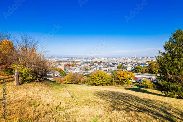 Obraz 東京　郊外の住宅地
