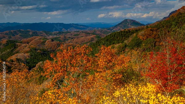 Fototapeta 紅葉と奥久慈男体山　秋の休場展望台　茨城　常陸大宮