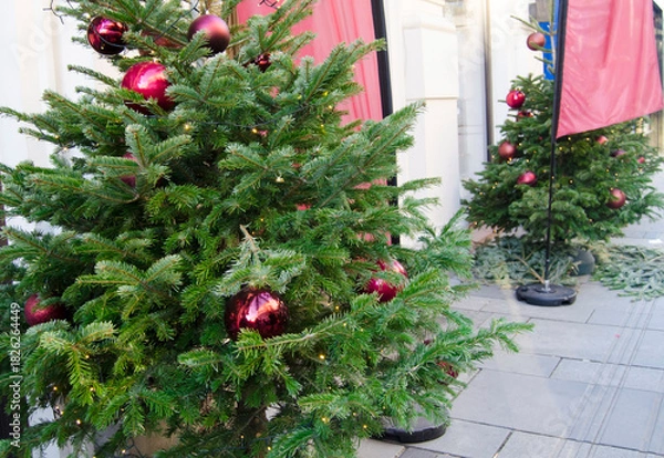 Fototapeta Festive Outdoor Christmas Trees with Elegant Ornaments