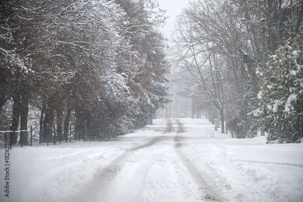 Fototapeta Snowy Street in a Quiet Winter Morning with Snow-Covered Trees and Bare Path