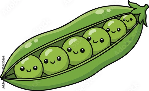 Obraz Green pea pod with small round peas inside