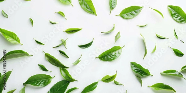 Obraz Green tea leaves scattered on white background