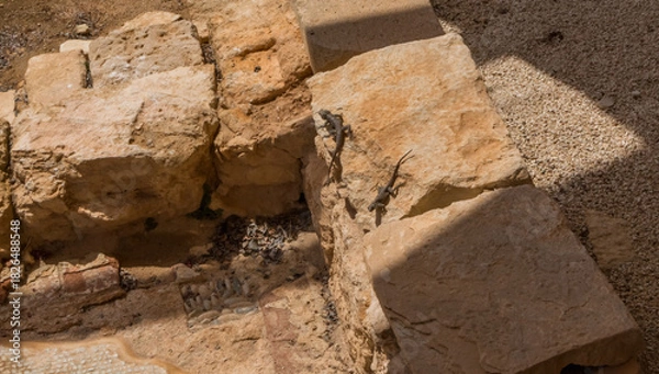 Obraz  Apollo Hylates Bath Complex Ruins