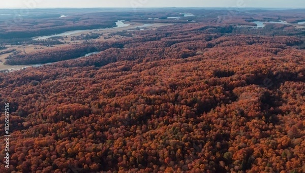 Fototapeta Aerial view of autumn forest landscape with colorful foliage and winding river