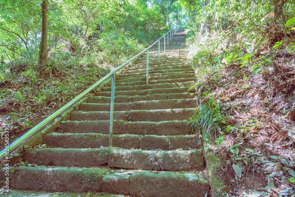 Fototapeta 茨城　西金砂神社の急な階段