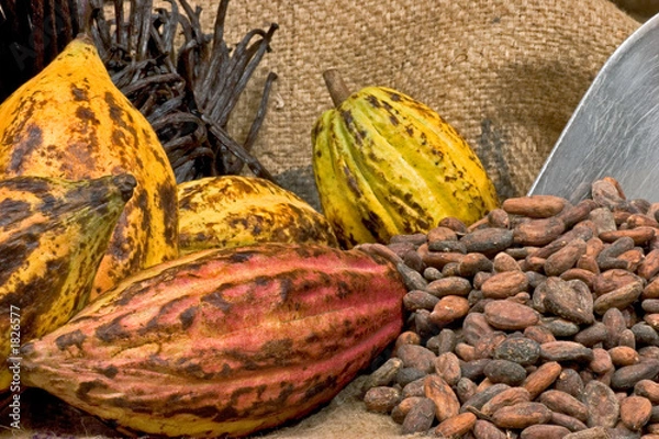 Obraz chocolaterie