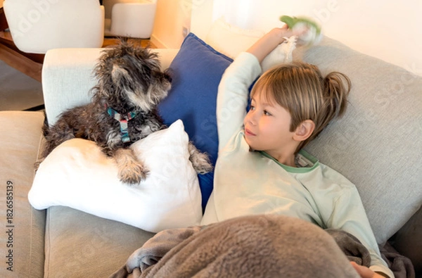 Fototapeta Cute child boy playing with his little puppy dog lying on the couch at home.