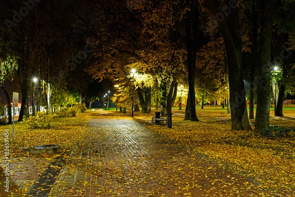 Obraz Empty park alley at night with fallen golden leaf and glowing street light. Autumn landscape with warm illumination for seasonal background.