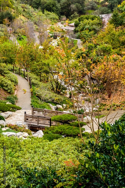 Obraz Footbridge trees