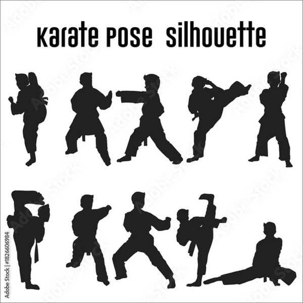 Obraz karate movement silhouette illustration bundle