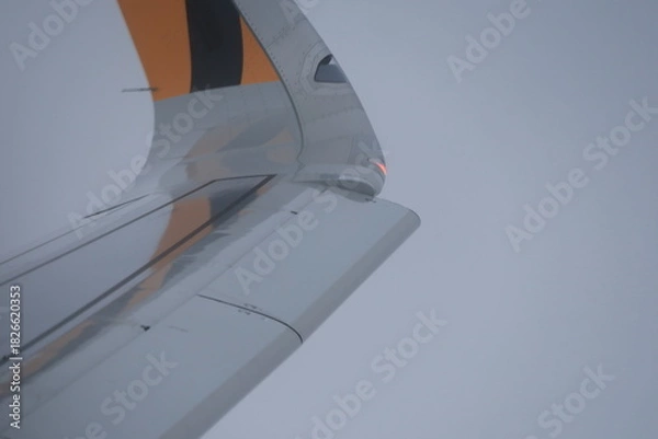 Obraz Flaps extended.