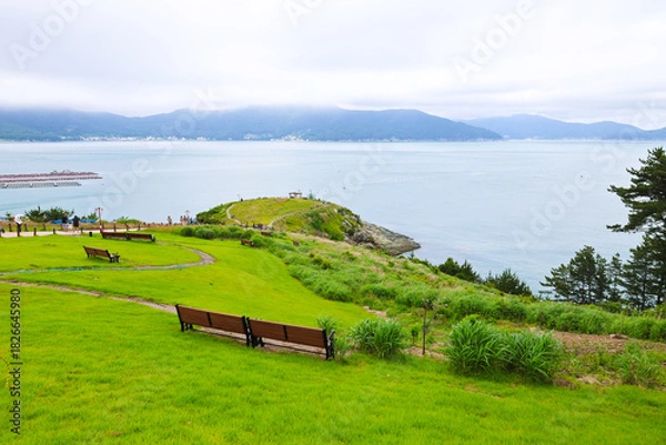 Obraz empty chair in the meadow,