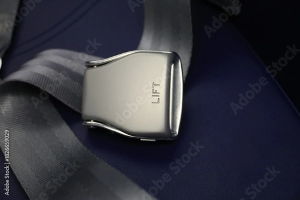 Obraz Flight safety.