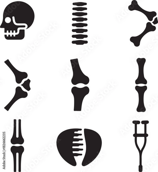 Fototapeta Bone icons, human skeleton, skull head, spine column, joint fracture, crutch support