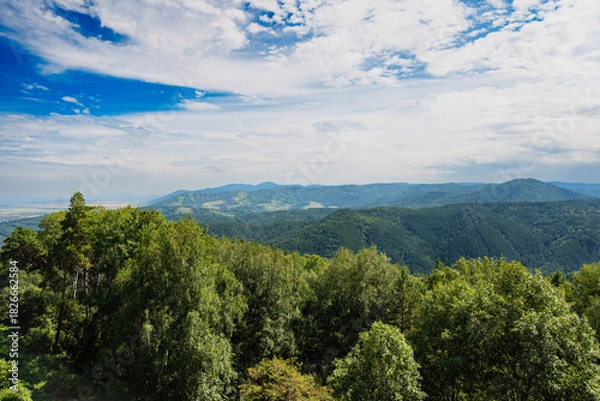 Fototapeta Scenic view of lush green forest and distant hills under cloudy sky.