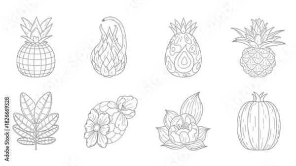 Fototapeta Line art illustration featuring various fruits, flowers, and plants in a detailed, intricate style.
