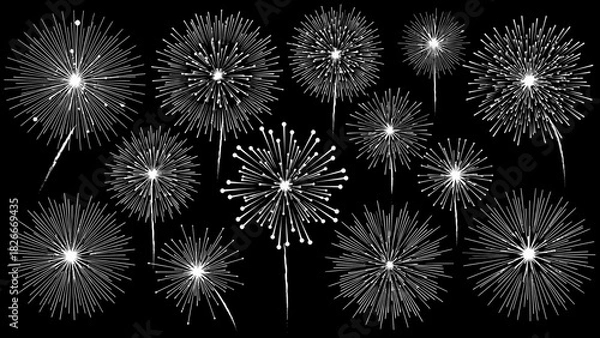 Fototapeta A collection of various white fireworks exploding against a black background, creating a festive and celebratory atmosphere.