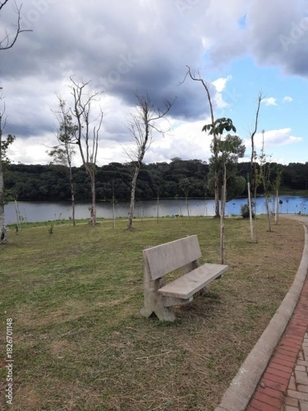 Obraz bench in the park in summer