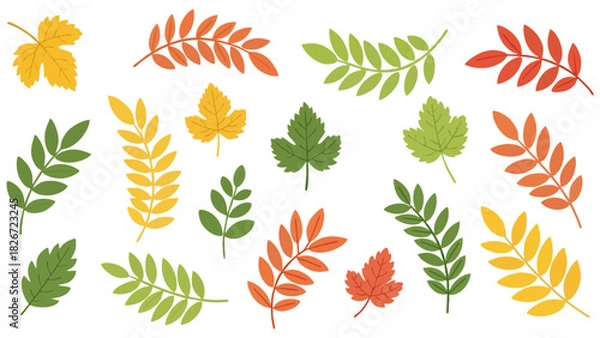 Fototapeta Colorful Leaves Collection Botanical Vector Art for Autumn Designs