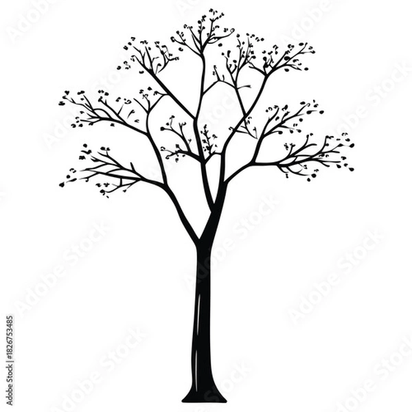Fototapeta  tree silhouette white background